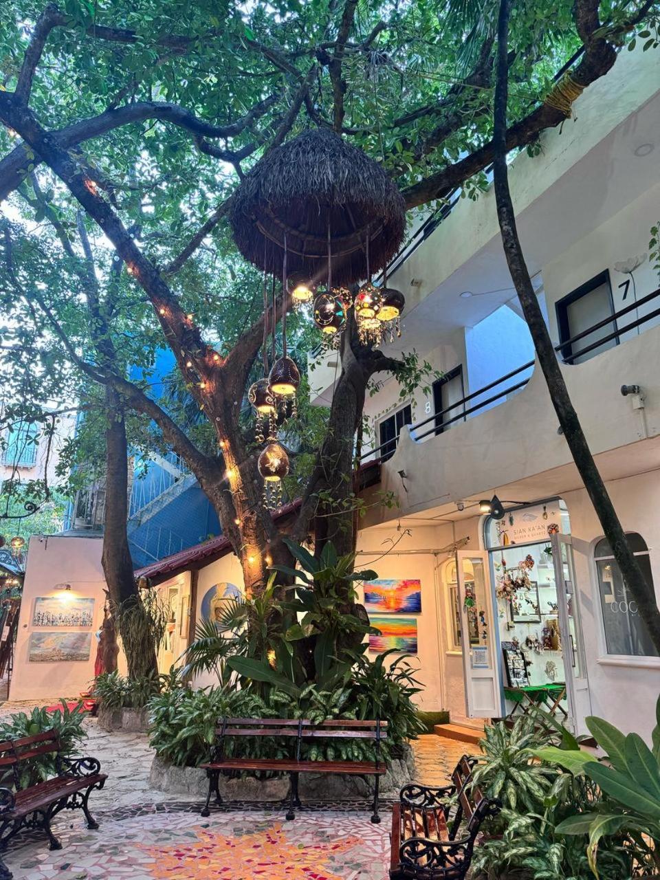 Hotel Ha Garden Gallery - 5Th Avenue Playa del Carmen Eksteriør billede