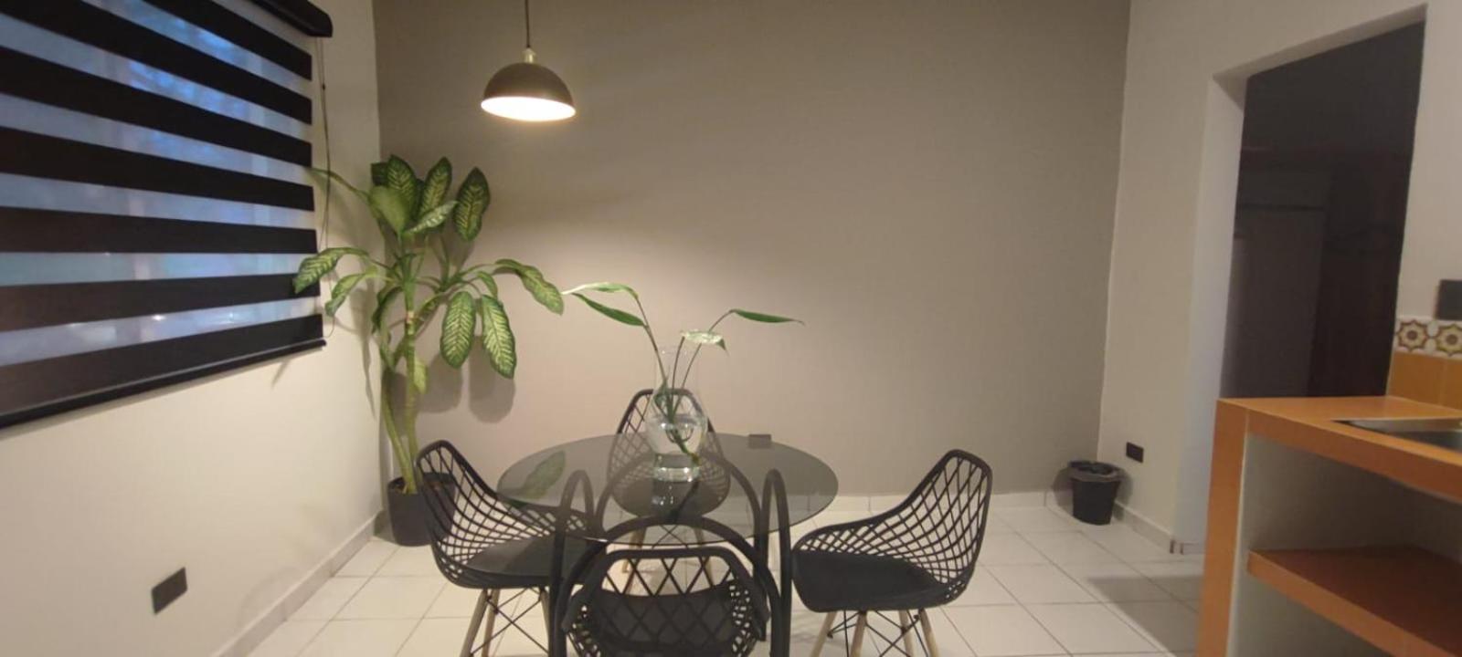 Hotel Ha Garden Gallery - 5Th Avenue Playa del Carmen Eksteriør billede
